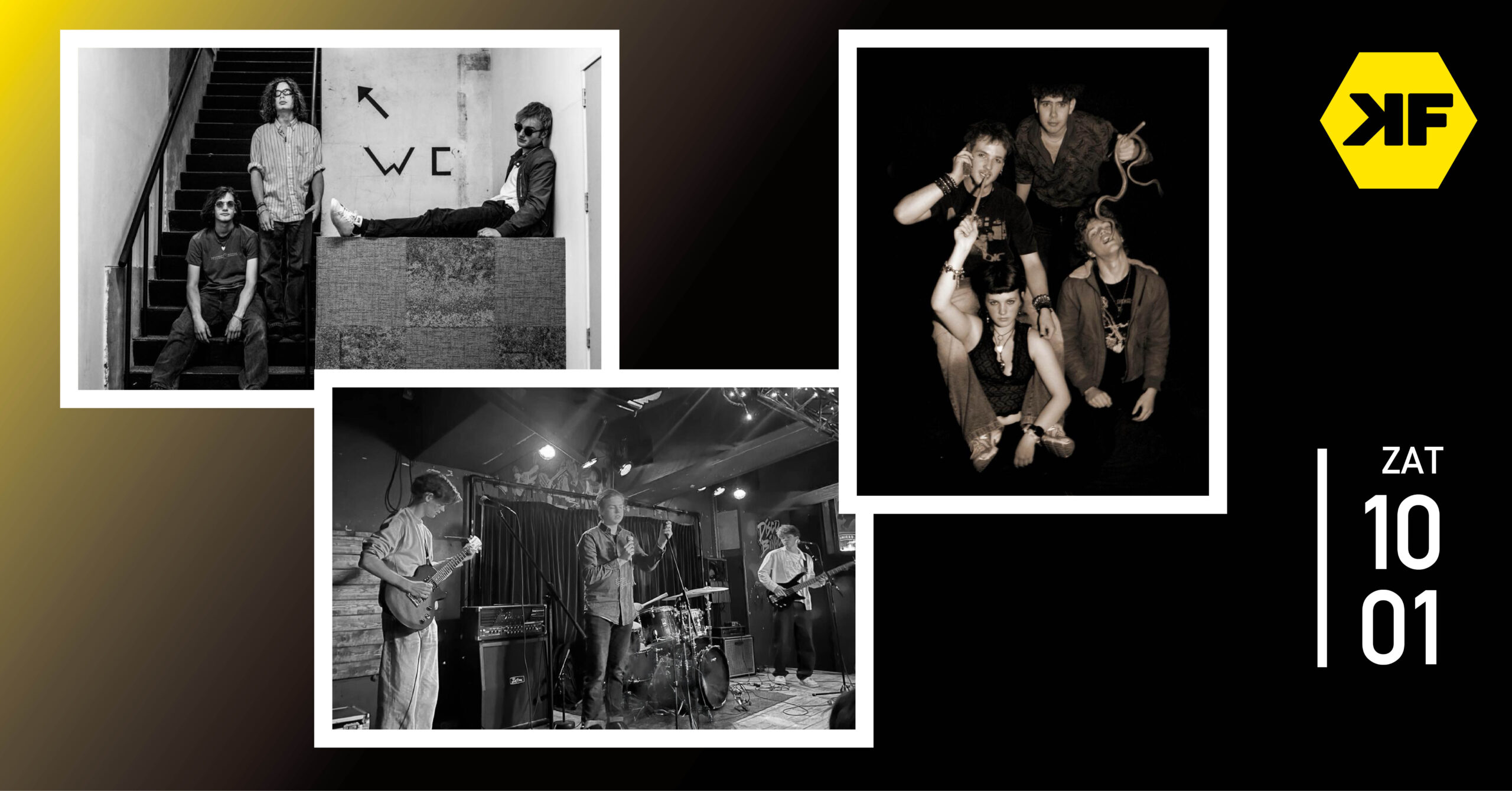 PAINT IT + HORIZON + CAMPAIGN OF MISINFORMATION